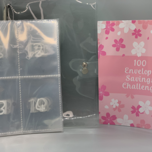 100 Envelopes Challenge, cash stuffing, saving ,money,