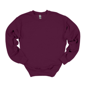 Custom Embroidered Sweatshirt (Toddler and Kids)